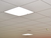 RTEmagicC_tls_lightube_office_1.jpeg